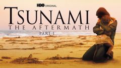 Tsunami, the Aftermath (1)