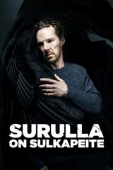 Surulla on sulkapeite