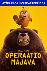 Operaatio Majava