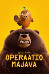 Operaatio Majava