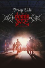 Stray Kids: the dominATE Experience