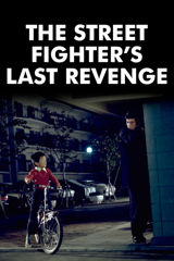 The Street Fighter's Last Revenge
