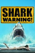 Shark Warning