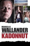 Wallander: Kadonnut