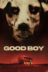 Good Boy