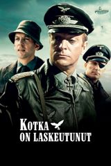 Kotka on laskeutunut