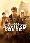 Labyrintti - Aavikkokokeet