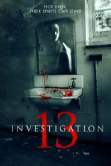 INVESTIGATION 13