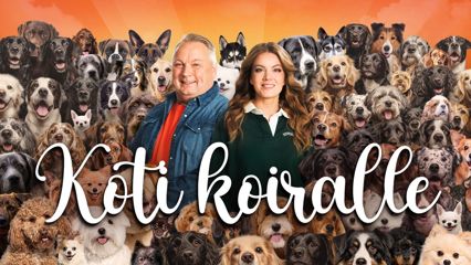 Koti koiralle