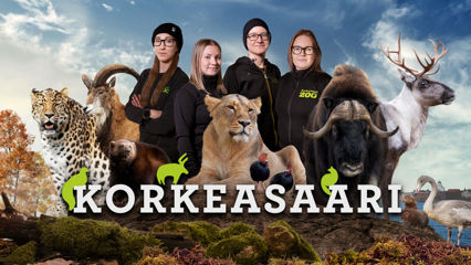 Korkeasaari