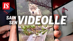 IS esittää: Sain sen videolle