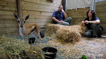 Animal Planet