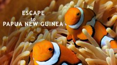 Escape to Papua New Guinea