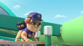 Nick Jr