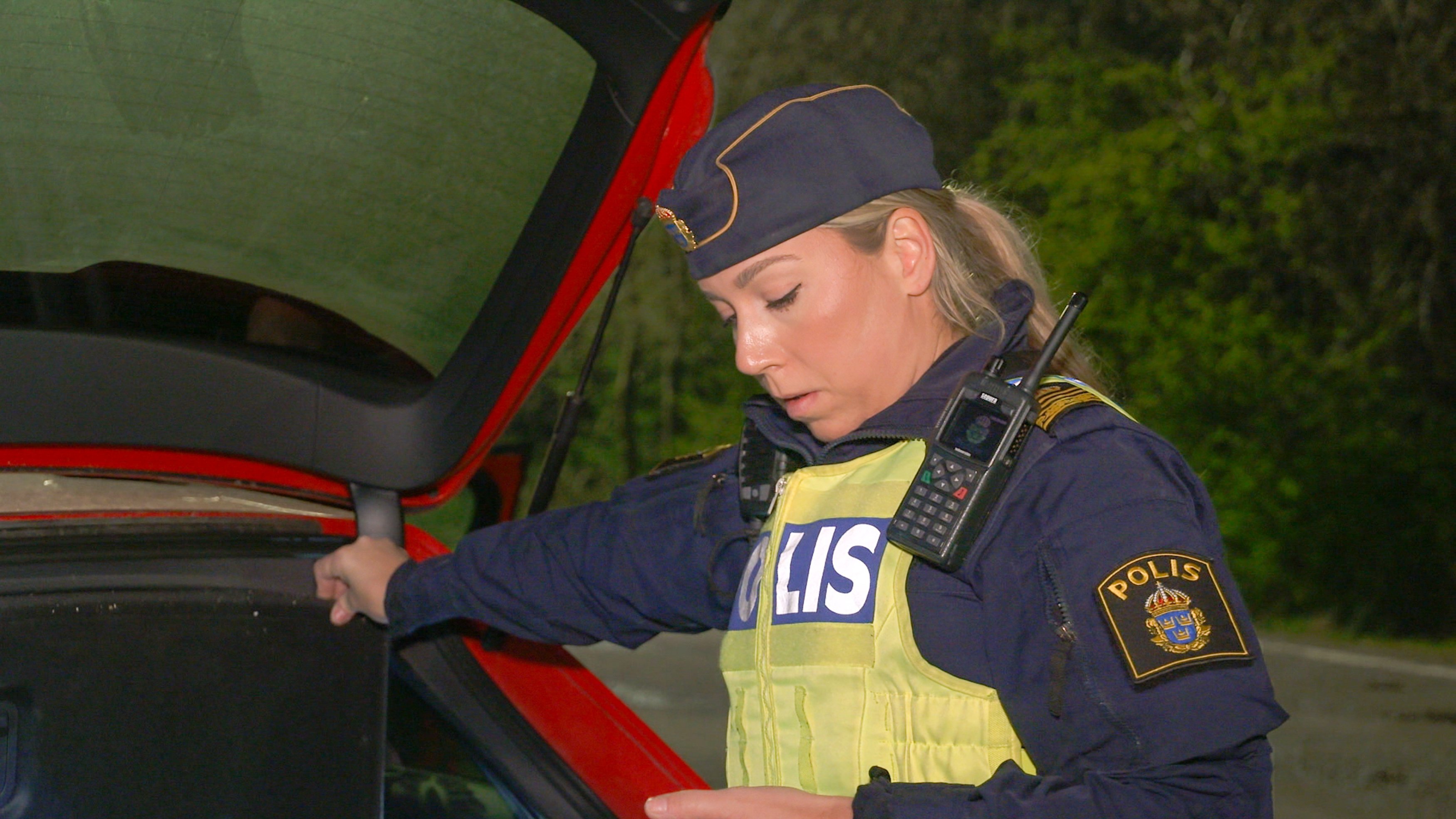 Ruotsin rajavartijat