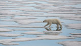 Hostile Planet