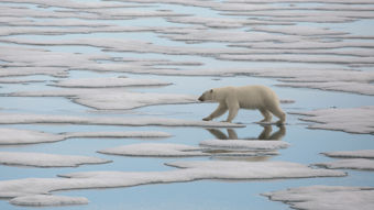 National Geographic