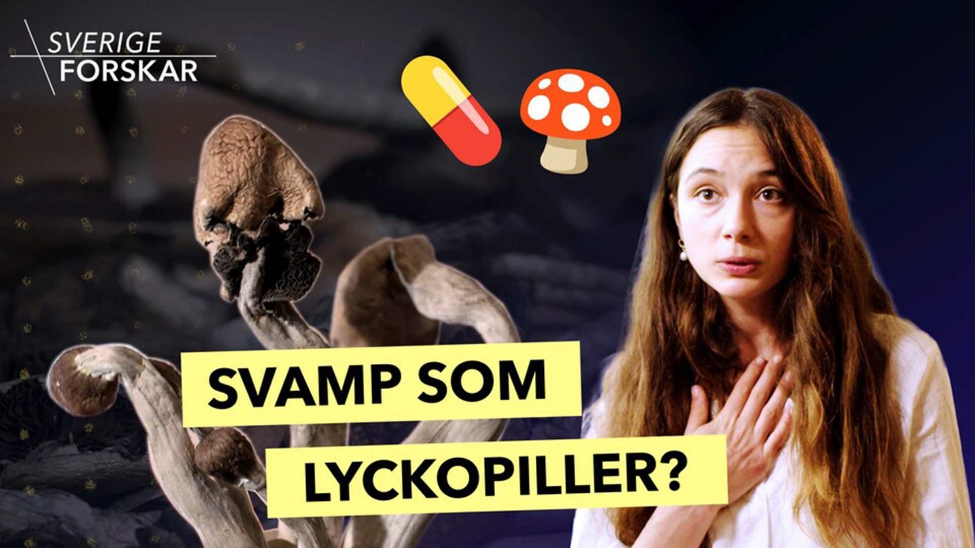 Yle Teema & Fem
