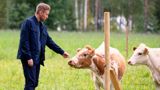 Farmi Suomi
