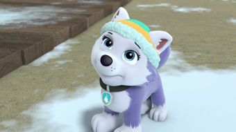 Nick Jr
