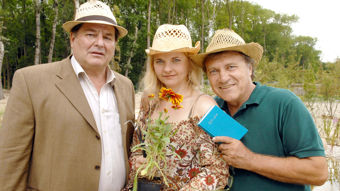 3sat