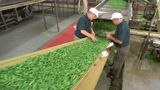 Food Factory USA