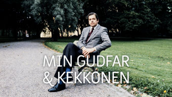 Yle TV1