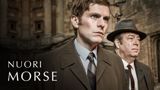 Nuori Morse (12)