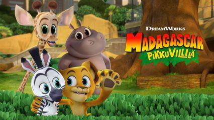 Madagascar: Pikkuvillilä
