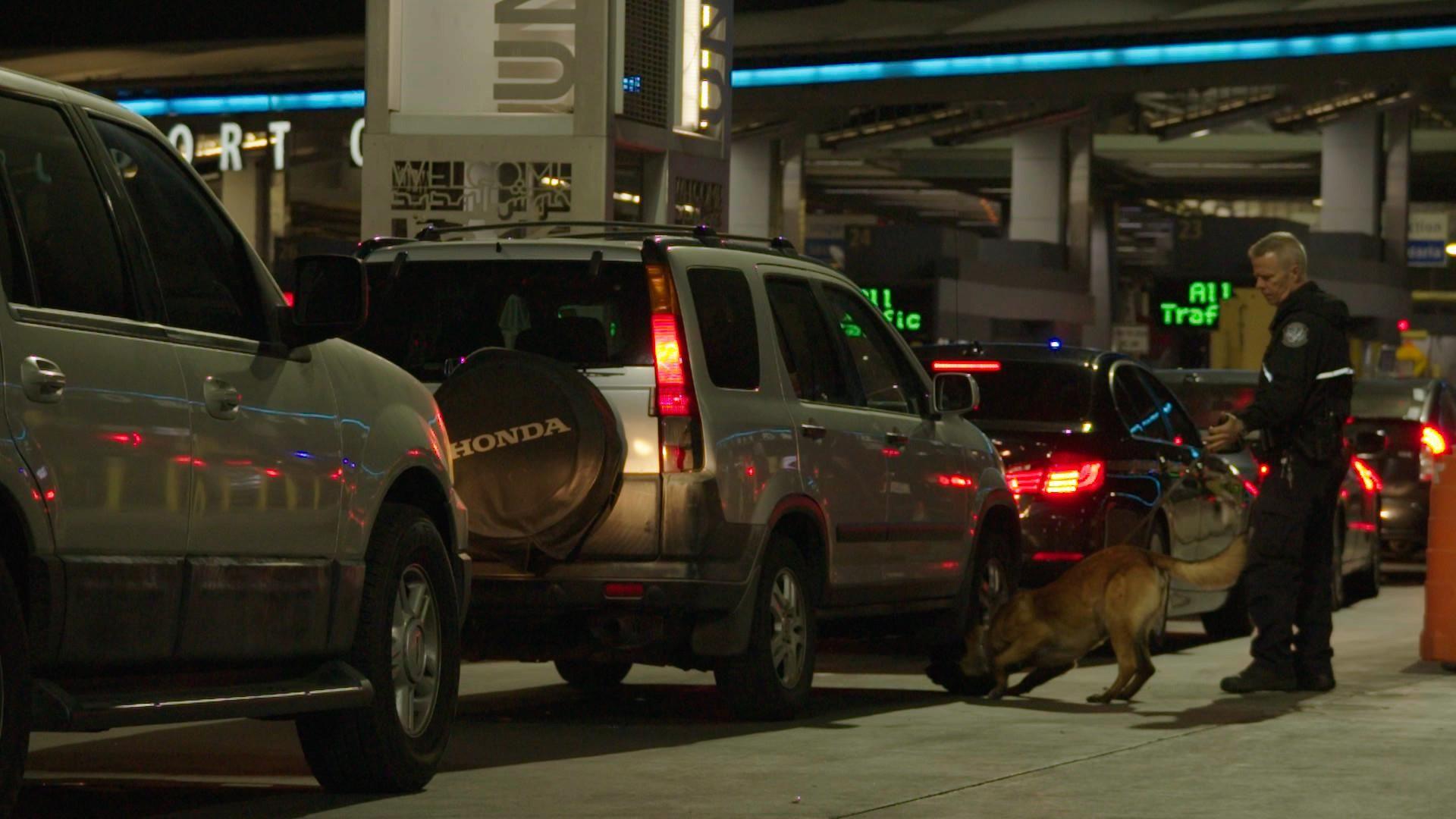 Salakuljettajat satimeen