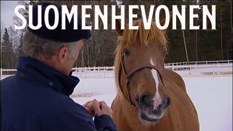 Yle TV2