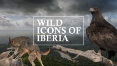 Wild Icons of Iberia