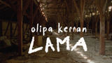 Olipa kerran lama (7)