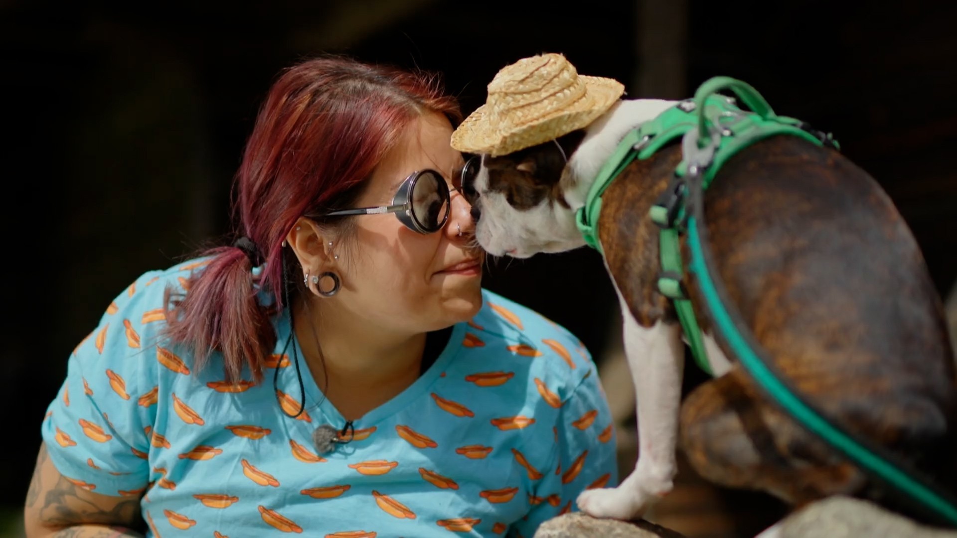 Koiraperheet käytöskoulussa