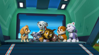 Nick Jr