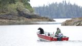 Saari ilman lakeja
