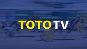 Toto-TV