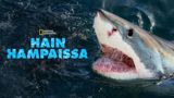 Hain hampaissa 360°