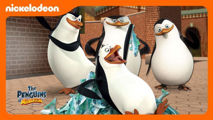 Madagascarin pingviinit