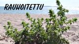 Rauhoitettu