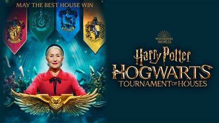 Harry Potter: Hogwarts Tournament of Houses