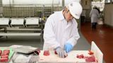 Food Factory USA