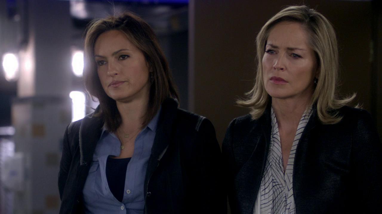 Kova laki: Erikoisyksikkö