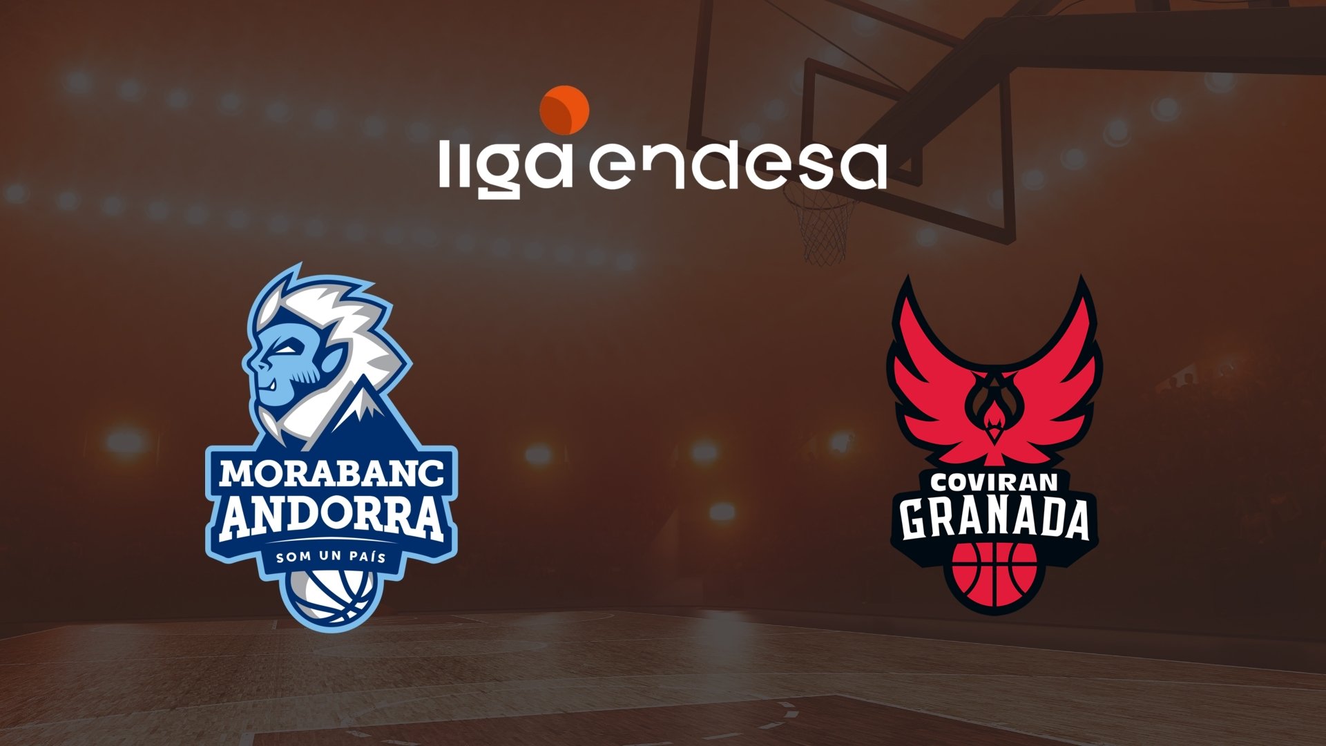 Elisa Viihde Sport 1