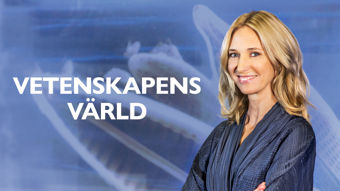 SVT2