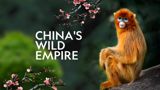 Kiinan villi valtakunta