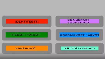 TV7