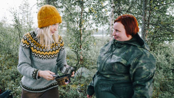 Yle TV2