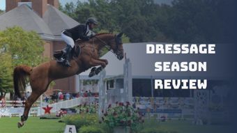 HorseTV