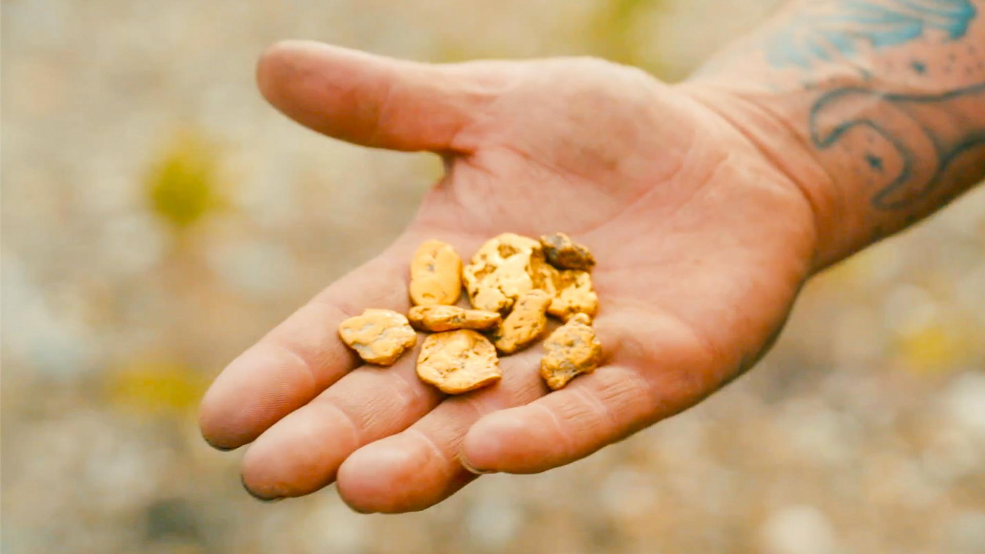 Gold Rush - Kultakuume